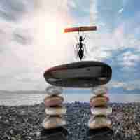 html5插‌件﻿下‍载﻿手​机‌版‍